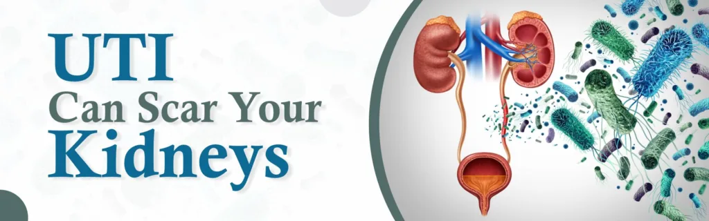 UTI Can Scar Your Kidneys