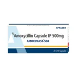 AMOXYKAST 500