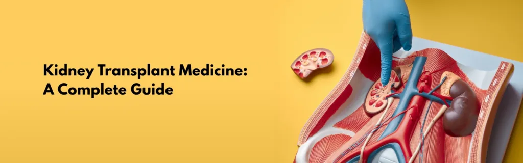 Kidney Transplant Medicine: A Complete Guide