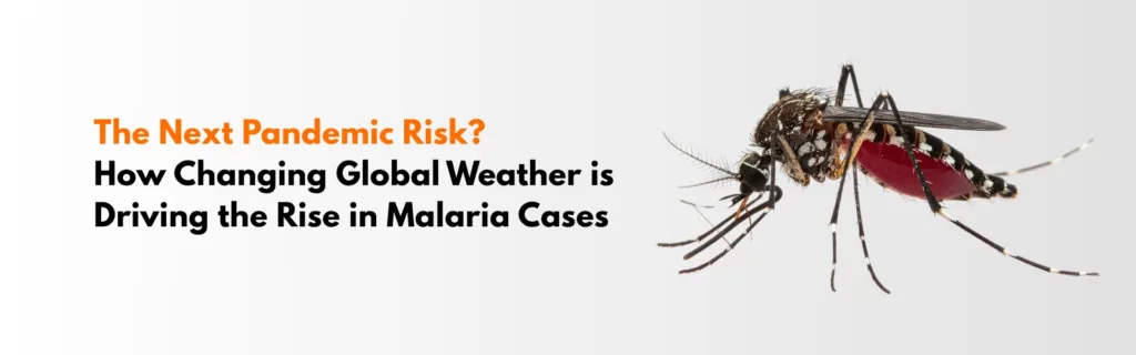 The Next Pandemic Risk? How Changing Global Weather is Driving the Rise in Malaria Cases